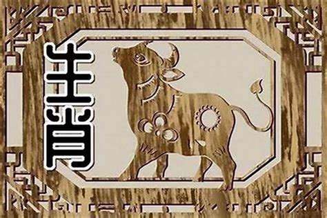 85年属|85年属什么的生肖 1985年属什么生肖多大